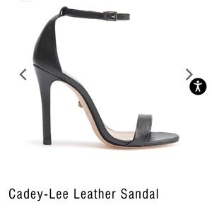 Schutz Cadey Lee Black Ankle Strap Stiletto. Size 6. Worn once. 4 inch heel.